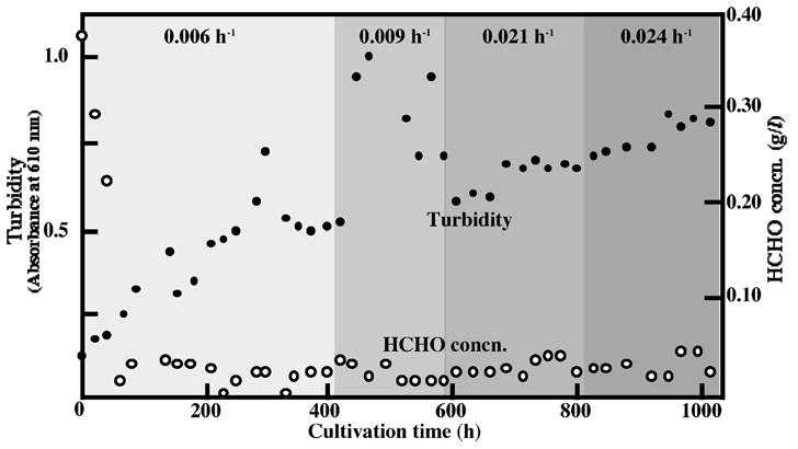 190 Environmental Sciences, 13, 4 (2006) 185 192 R. Mitsui et al. 600 h of cultivation time, cell turbidity and the rate of formaldehyde decomposition remained in the steady state.