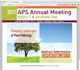 APS Annual Meeting Page Everyone sees this webpage first when looking for information concerning the APS Annual