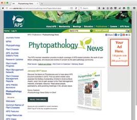 APS Main Phytopathology News Page This web page provides a brief overview of the current issue of Phytopathology