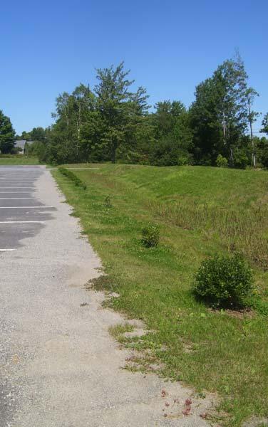 Treatment Swales The grass treatment swale has long been a widely used stormwater treatment practice in New Hampshire and nearly every other state.