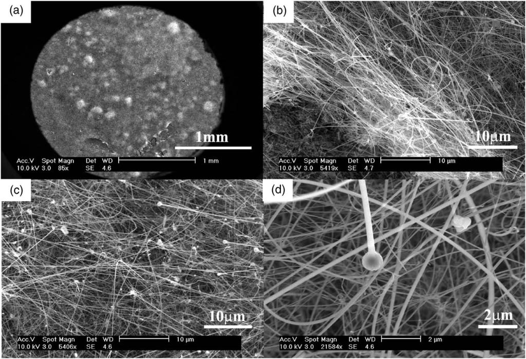 014309-2 Wang et al. J. Appl. Phys. 102, 014309 2007 FIG. 1. SEM images of SiC/SiO x nanocables deposited on the Si 111 substrate at the reaction temperature of 1000 C for 2 h.