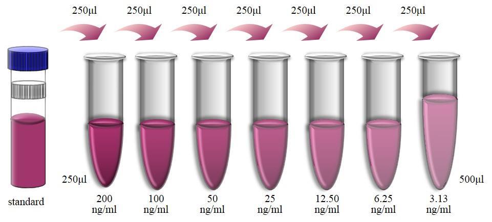For serum/plasma samples, mixing concentrated human IgG standard (250 μl) with 250 μl of Assay Buffer (1 ) creates the high standard (200 ng/ml). Pipette 250 μl of Assay Buffer (1 ) into each tube.