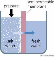 12 water sample. Four methods of desalination are distillation, freezing, reverse osmosis and electrodialysis.