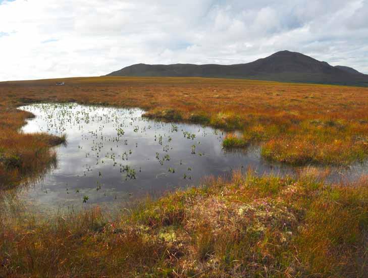 WISE Peatland Choices A decision support tool for peatland restoration in Scotland