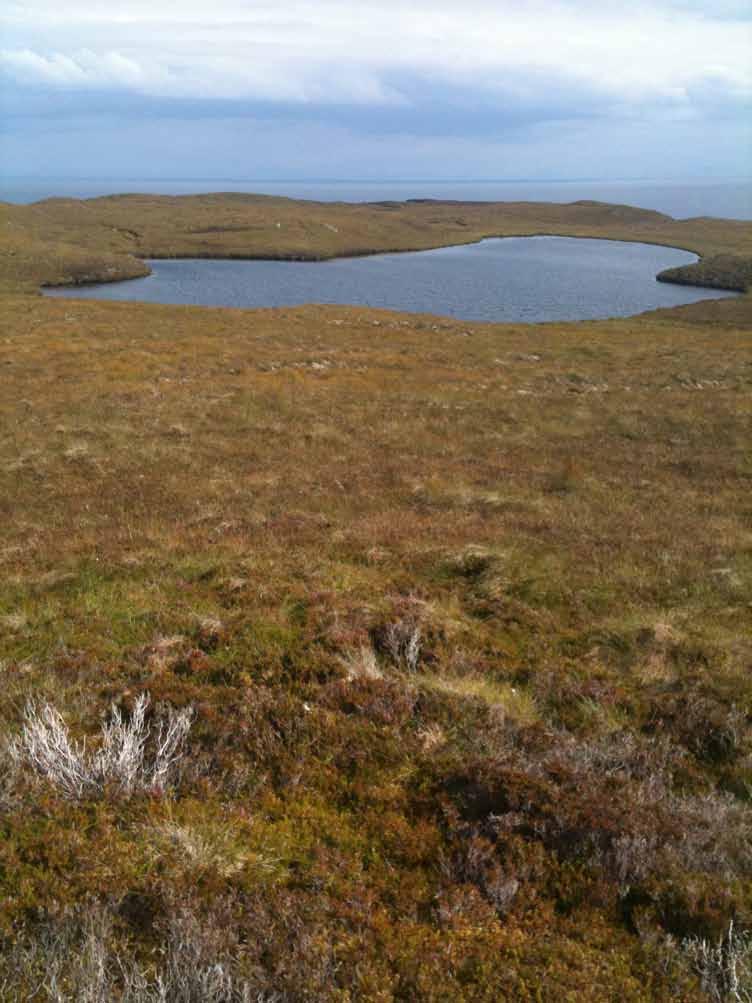 While the vast majority of the Scottish peatlands are blanket bogs (1.