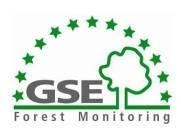 Collaborative effort: REDD GTZ-COMIFAC programme supports REDD pilot in Cameroon for the region GSE FM provides standards, technical design, in dialogue with User, optimised processing chains,
