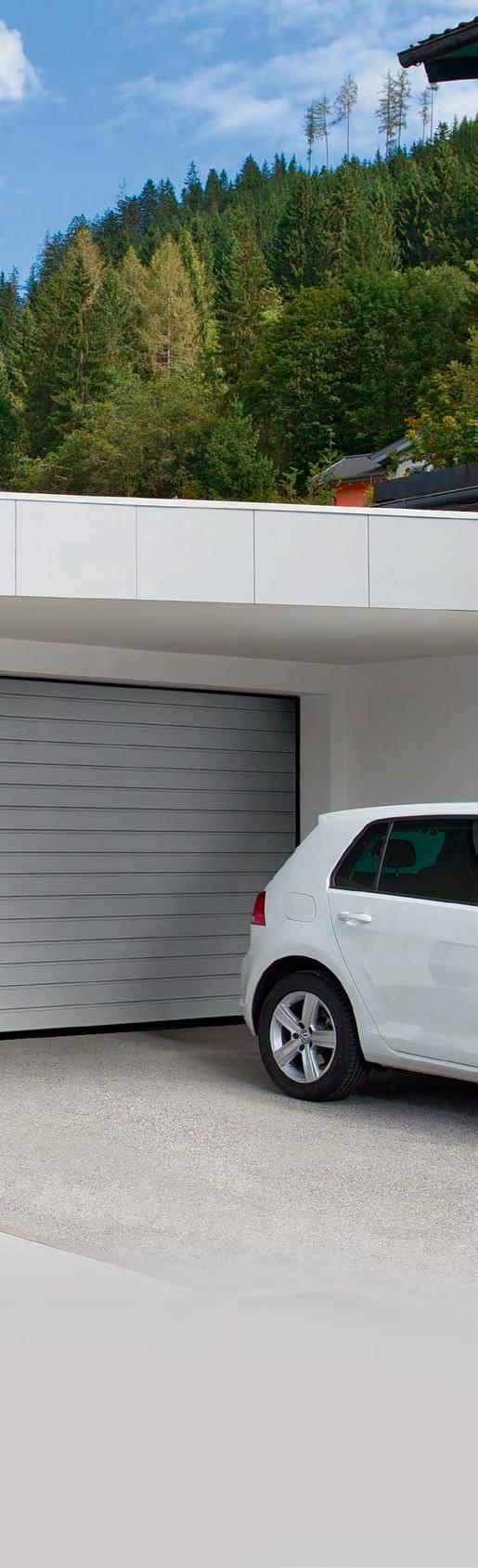 Functional Trend Garage Doors Reasonable price For moderate climate regions For