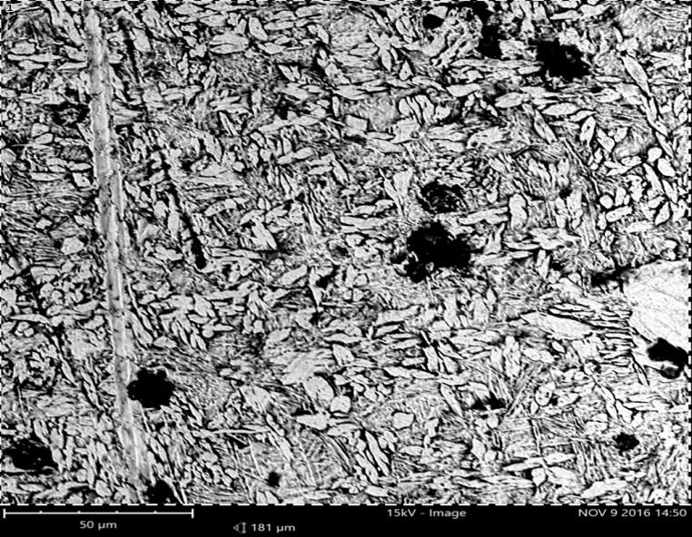 The micrographs revealed greater extents of microstructural homogenization along with coarsening of the intermetallic compounds as the soaking time increased.