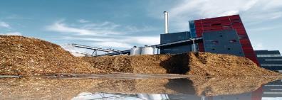 Biofuels/bioliquids: 70% Biomass & biogas for heat and