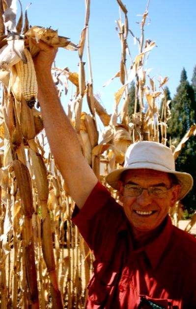 Farming Gods Way Brian Oldreive Proven success since 1984 Maize grower
