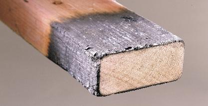 INTRODUCTION materials such as masonry and steel. The use of Dricon FRT wood can result in greater safety, reduced insurance rates, and easing of building code limitations.