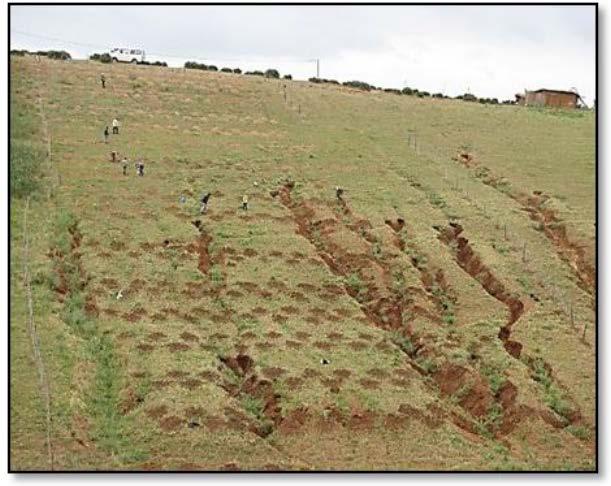 SEHOUL AREA - MOROCCO Severe soil
