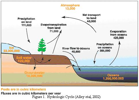 hydrological cycle.