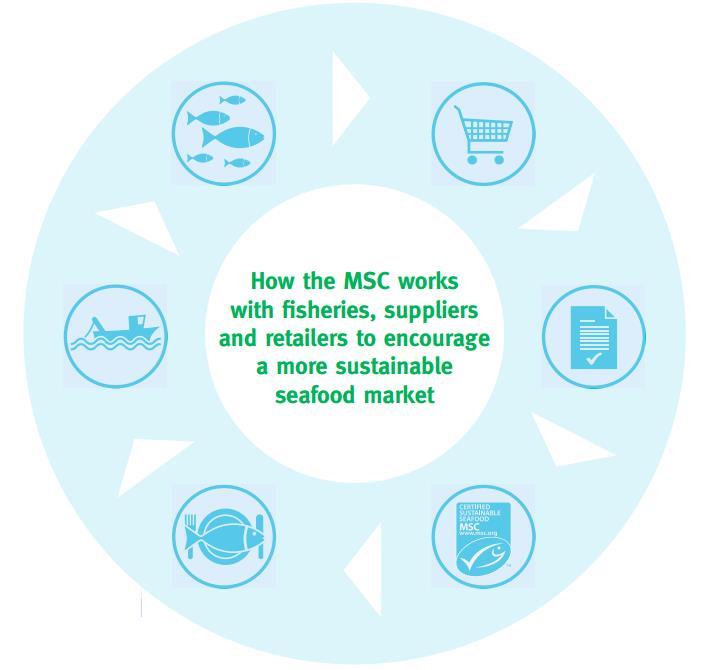 How consumer intelligence supports MSC theory of change Fisheries which meet MSC Standard are independently labelled Retailers and restaurants choose MSC-labelled seafood More fisheries choose to