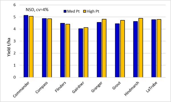 Figure 7. Durum yields for key lines in the med and high Pt strips.