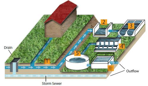 There are several methods used to protect our water from pollution: Sewage treatment can prevent dead zones Integrated Pest Management (IPM) instead of pesticides Conservation of water