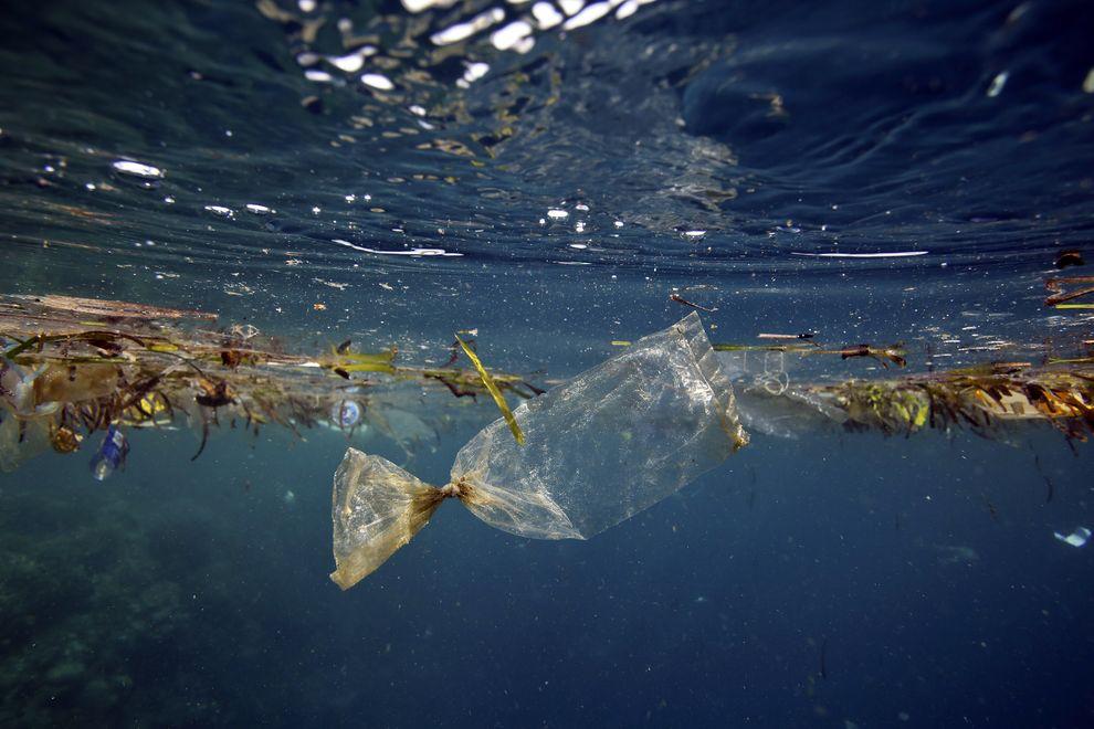 spotlight on giant ocean garbage patches.