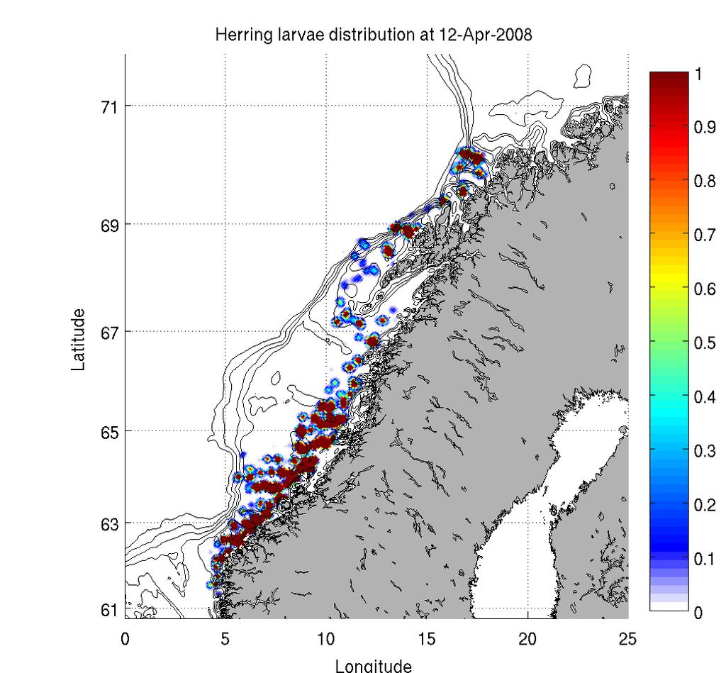Initial conditions Sampled herring larvae mid April (left panel) and