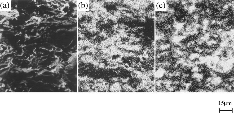 724 T. Yoshikawa and K. Morita Fig. 3 EPMA results for a pressed sample. (a) SEM micrograph,(b) Mg-distribution,(c) C-distribution.
