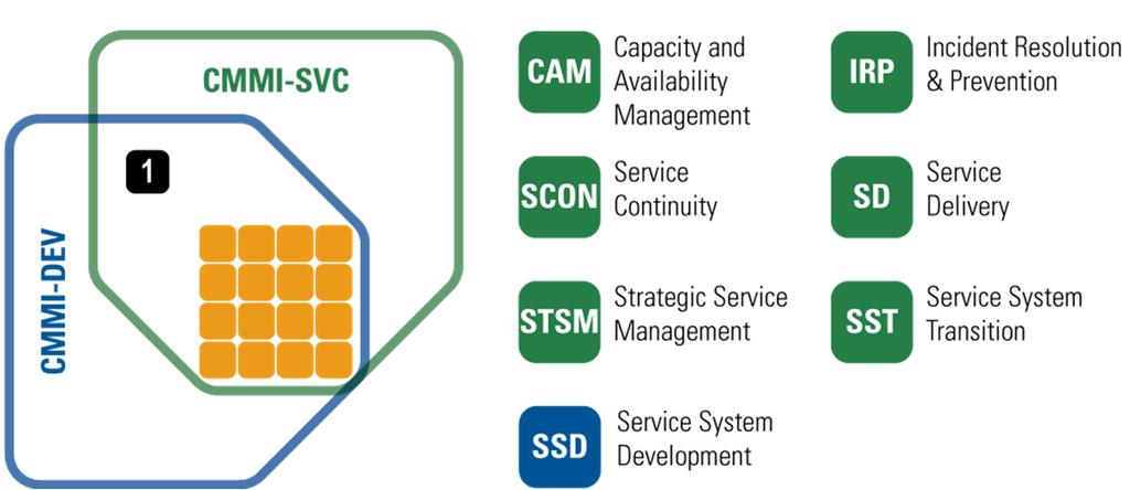 A Quick Look at CMMI-SVC CMMI-SVC Services-specific s *CMMI-SVC addition Define, and Establish, and Deliver Services Shared (SAM) CMMI-DEV Core s Include service-specific informative material Monitor
