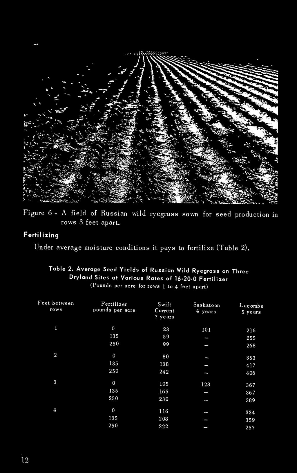 Lacombe rows pounds per acre Current 4 years 5 years 7 years 1 23 101 216 135 59 255 250 99-268