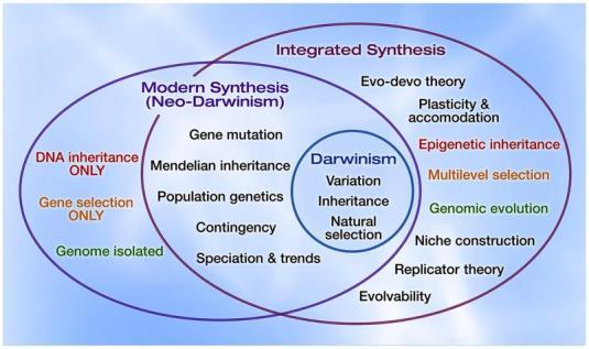 Trans-generational epigenetic inheritance, phenotypic plasticity and evolutionary implications It [Lamarckism] is not so obviously