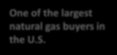 LNG market One of
