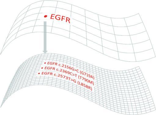 Figure 2 provides a graphic illustration of a specific scenario. There are several common variants in the Epidermal Growth Factor Receptor (EGFR) gene associated with cancer, such as c.