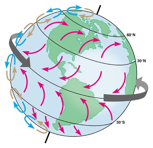 Prevailing wind patterns, set ocean currents in motion. The patterns of wind flow can be seen in the figure at the right. Land masses can interrupt these patterns at a local or regional level.