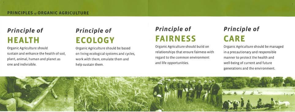 The four basic principles of organic agriculture Healthy soil Healthy crops Healthy livestock Healthy people
