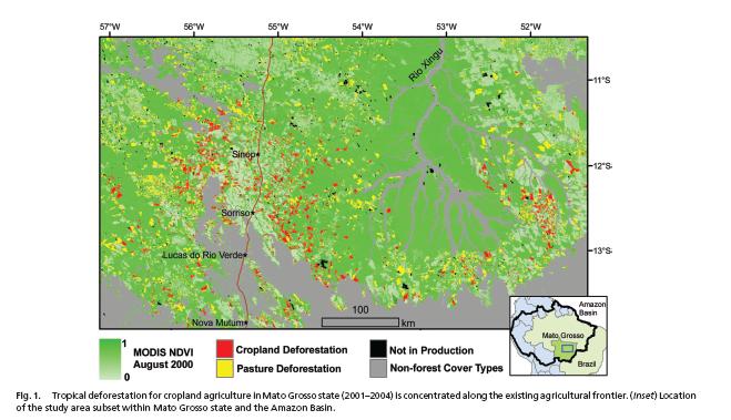 Satellite-derived maps keep track of changes in land cover