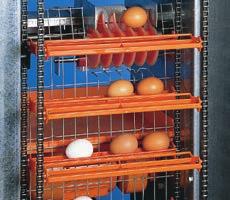 Big Dutchman egg collection systems meet even the highest requirements: 4 gentle transport of the eggs; 4 high functional reliability; 4 easy handling.