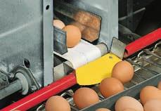 Once it has collected the eggs from all tiers, the lift moves into its parking position.