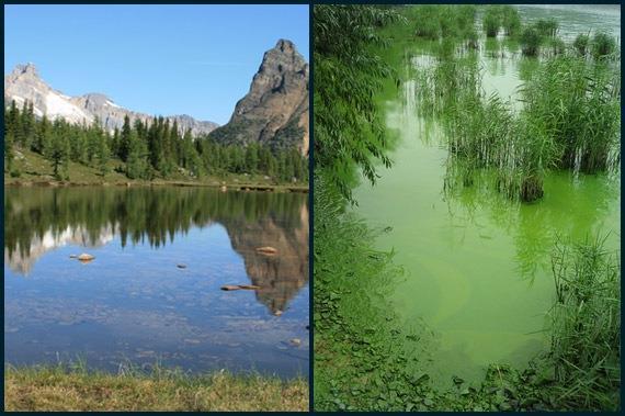 Agricultural Practices Eutrophication is the process by which