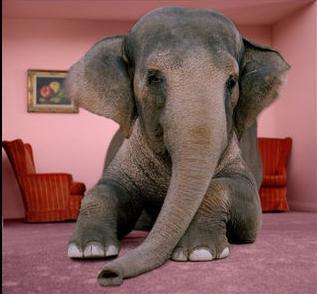 Solutions The Elephant in the Living Room for Architects We often know the preferred solution before we start the process Often, an existing legacy system is not subject to