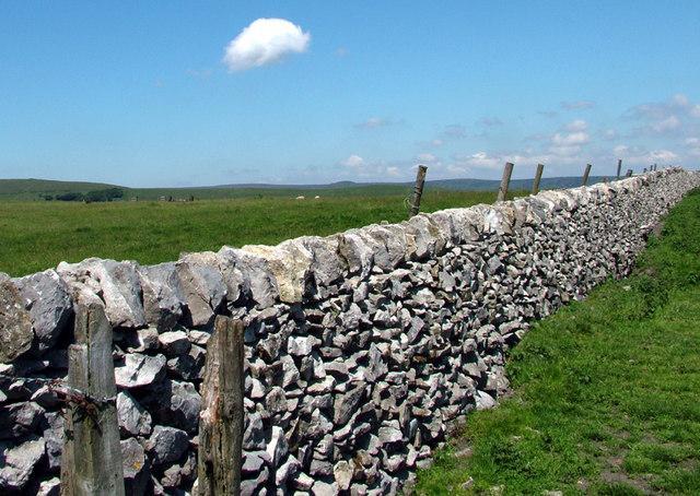 Do-It-Yourself: How to Build a Dry Stone Wall An instructional guide for beginners Copyright