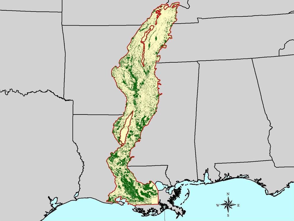 Cairo, IL Mississippi River Alluvial Valley Memphis, TN Stoneville 1992 Forest Cover New Orleans, LA The Mississippi River Alluvial Valley, or MAV, occupies parts of seven states, stretching 600