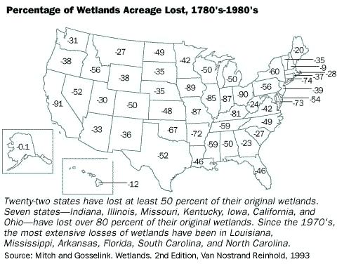 Approximately half of U.S. wetlands present in colonial times have been lost, primarily due to agriculture.