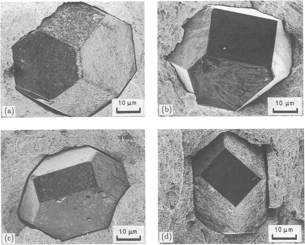 I Figure 6 SEM observations of diamond particles on the fracture surface foi- (a) specimen A, (b) specimen B, (c) specimen C, (d) specimen D, (e) specimen E. 3.5.