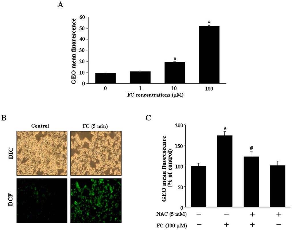 ROS in FC-Induced Upregulation of NOS2 Nitric oxide synthase (NOS) consist of different subtypes depending on the tissue type including neuronal (NOS1), inducible or macrophage (NOS2), and