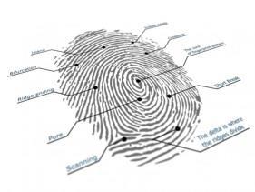 forensics and digital