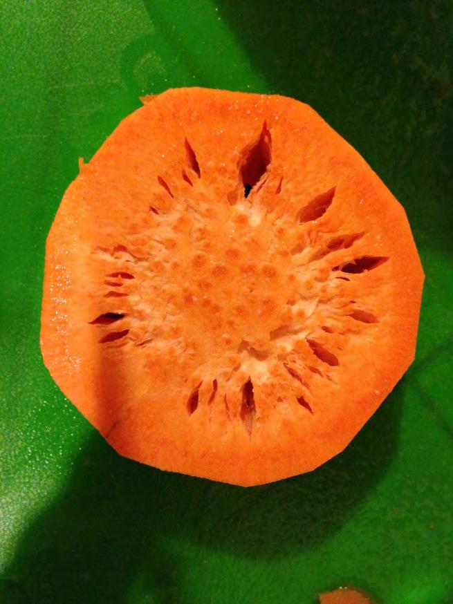 Consumer Email California consumer emailed Charles Walker asking if consuming a sweetpotato like this