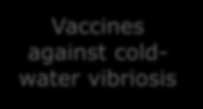 against coldwater vibriosis Kr/kilo Cost