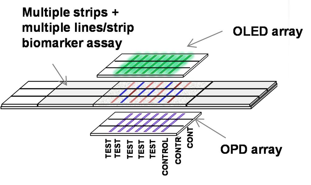 Absorption LFD with OLED/OPD route to lower CV% Multiplexing can
