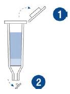 3 II. Gravity Purification of His-tagged proteins under native conditions The following summarized procedure is adapted for the purification of His-tagged protein under native conditions. 1.