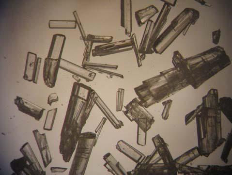 13 Figure 2.1: Optical micrograph of IND SAC co-crystal. Source: Basavoju et al., 2008 2.3.2 Grinding Process Grinding has attracted interest in the formation of co-crystals.