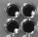 3.2 Separation of beads During the washing and elution steps of the NucleoMag procedure, the NucleoMag Beads are freely dispersed in solution.