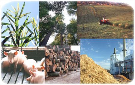 In recent years, people pay more attention on technology development and application of biomass energy.