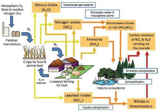 Relationships between agricultural GHG and air pollution inventories Direct N 2 O missions: directly from the soil or the animal waste management systems.