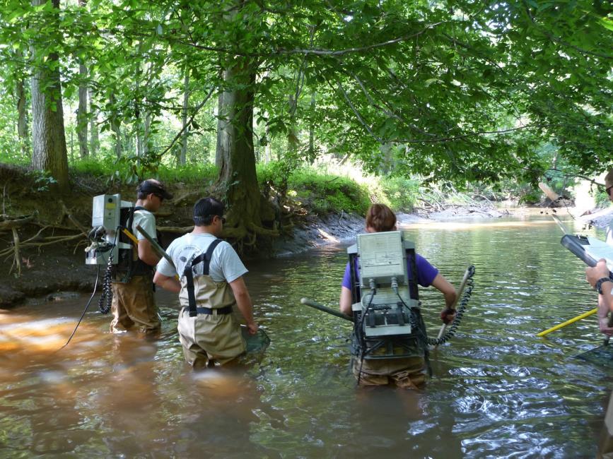MBSS Biological Training Sessions Spring (benthic macroinvertebrates) Summer (fish, herps,